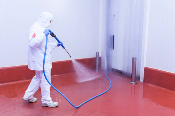 Best Patio and Deck Pressure Washing  in Lake Belvedere Estates, FL