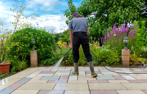 Best Driveway Pressure Washing  in Lake Belvedere Estates, FL